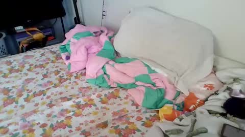 Snapshot of pppawg chatting on 01/20/25, 04:34 PAWG Pale Princess online show from 01/20/25, 04:34