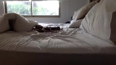 Snapshot of ppsmall_17 chatting on 03/27/26, 11:10 ppsmall_17 online show from 03/27/26, 11:10