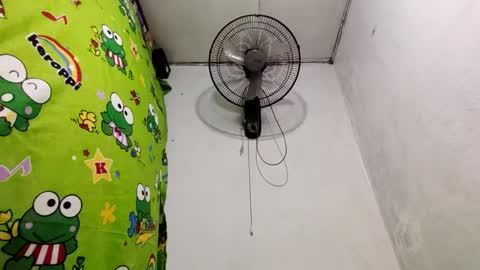 Dinah online show from 12/19/24, 09:06