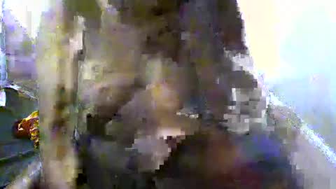 Snapshot of pretty_barbz chatting on 03/08/25, 03:06 pretty_barbz online show from 03/08/25, 03:06