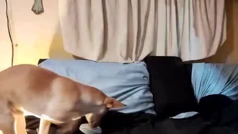 Prettyslangin69 FYPM online show from 02/26/25, 07:53