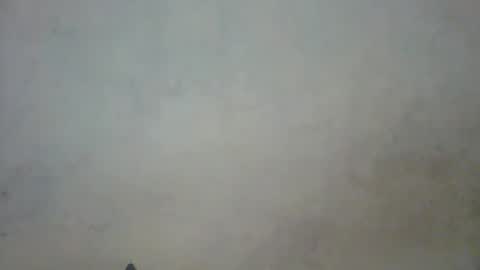 prettycarl_2 online show from 03/01/25, 10:42