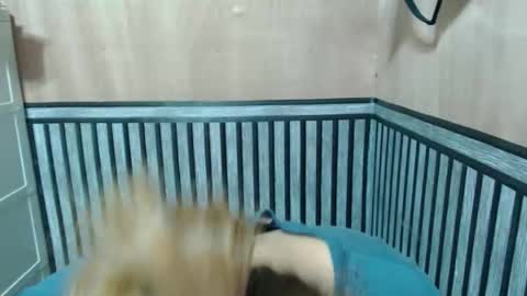 Kate online show from 12/02/25, 09:14