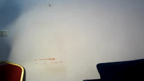 Snapshot of prettylove5 chatting on 03/01/26, 06:04 evelyn online show from 03/01/26, 06:04