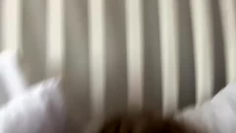 Snapshot of prettypxssyyy chatting on 09/27/25, 08:36 Prettiestpussy online show from 09/27/25, 08:36