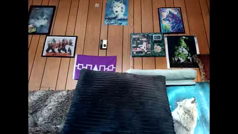 prettysolid7 online show from 02/06/26, 02:09