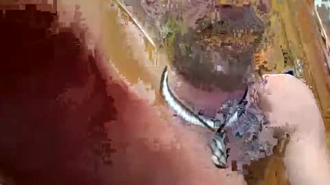 Snapshot of prettysolidd7 chatting on 12/02/24, 02:42 prettysolidd7 online show from 12/02/24, 02:42