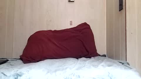 Snapshot of prettysolidd7 chatting on 12/02/24, 08:52 prettysolidd7 online show from 12/02/24, 08:52