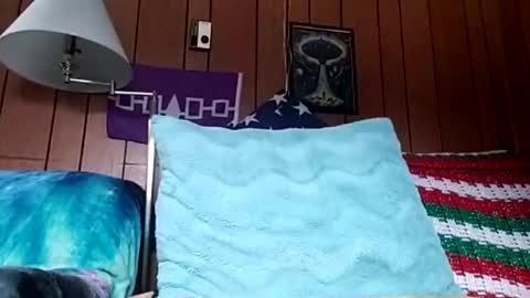 Snapshot of prettysolidd7 chatting on 12/04/24, 02:59 prettysolidd7 online show from 12/04/24, 02:59