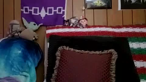 Snapshot of prettysolidd7 chatting on 01/04/25, 06:09 prettysolidd7 online show from 01/04/25, 06:09