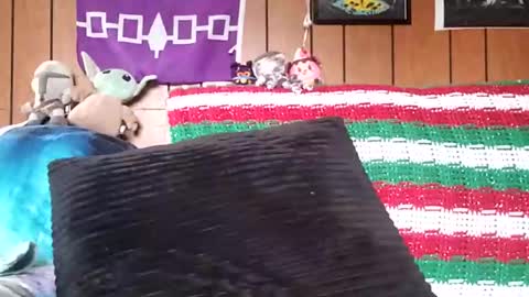 Snapshot of prettysolidd7 chatting on 01/04/25, 02:35 prettysolidd7 online show from 01/04/25, 02:35