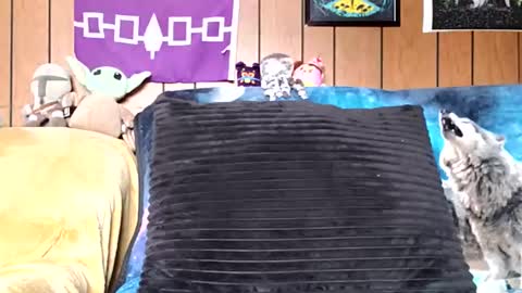 Snapshot of prettysolidd7 chatting on 01/05/25, 02:52 prettysolidd7 online show from 01/05/25, 02:52