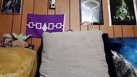 Snapshot of prettysolidd7 chatting on 01/27/25, 10:06 prettysolidd7 online show from 01/27/25, 10:06