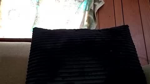 Snapshot of prettysolidd7 chatting on 02/15/25, 12:54 prettysolidd7 online show from 02/15/25, 12:54