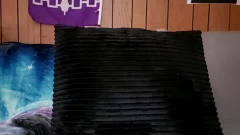 Snapshot of prettysolidd7 chatting on 02/24/25, 11:21 prettysolidd7 online show from 02/24/25, 11:21