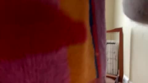 Snapshot of princechas chatting on 03/07/26, 03:31 PrinceChas online show from 03/07/26, 03:31