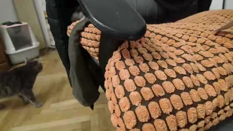 Prince Of Prague online show from 03/02/25, 02:19