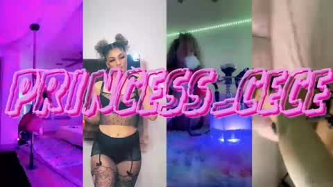 Snapshot of princess_cece chatting on 02/12/25, 12:58 Cece NEXT LIVESTREAM -- DEC. 4th 7 PM CST online show from 02/12/25, 12:58