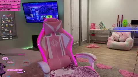 Snapshot of princess_cece chatting on 02/12/25, 04:01 Cece NEXT LIVESTREAM -- DEC. 4th 7 PM CST online show from 02/12/25, 04:01