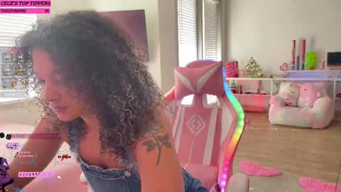 Snapshot of princess_cece chatting on 02/13/25, 04:39 Cece NEXT LIVESTREAM -- DEC. 4th 7 PM CST online show from 02/13/25, 04:39