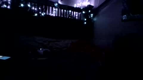 Holly love online show from 11/15/25, 08:22