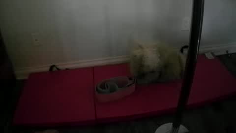 princesskimami online show from 10/25/25, 12:40