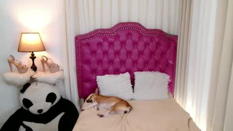 princessyanzy1 online show from 09/13/25, 05:57