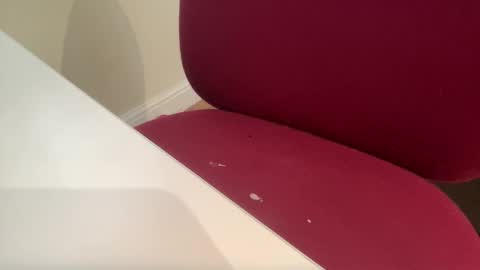 Snapshot of pritchj chatting on 03/10/25, 12:37 pritchj online show from 03/10/25, 12:37