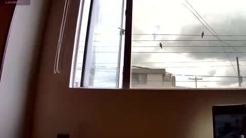 Snapshot of probardetodo chatting on 12/03/25, 02:15 Probardetodo independent model online show from 12/03/25, 02:15