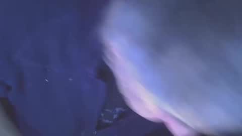 projectorepson online show from 01/11/26, 07:35