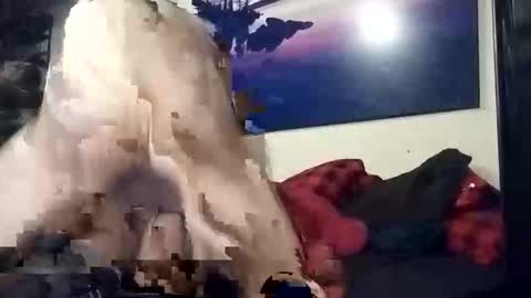 Snapshot of properttw chatting on 10/13/25, 04:29 properttw online show from 10/13/25, 04:29