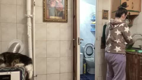 proud sweet 21 online show from 02/01/26, 11:47