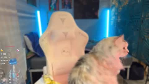 Queen of Pain online show from 03/07/26, 04:04