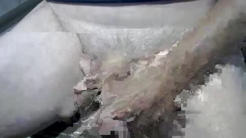 psfunman online show from 02/13/25, 06:05