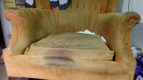 pspee313 online show from 11/01/25, 11:18