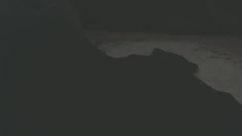 public_train online show from 04/15/26, 11:05