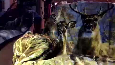 Snapshot of pumpslurrys chatting on 10/12/25, 11:26 pumpslurrys online show from 10/12/25, 11:26