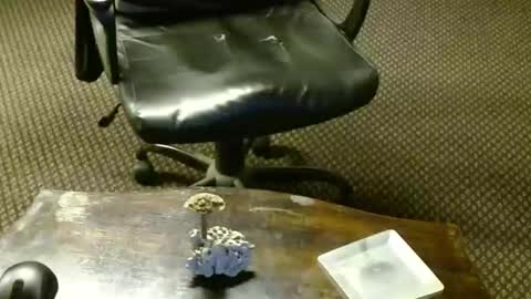 Jojo online show from 10/16/25, 09:27