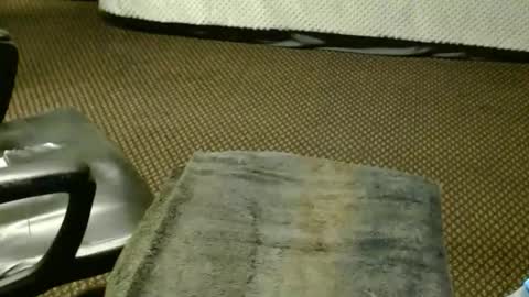 Jojo online show from 11/25/25, 08:42