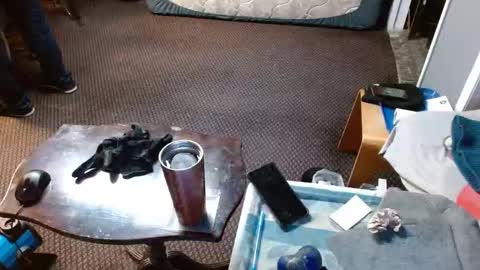 Snapshot of punkypapi chatting on 04/02/26, 05:38 Jojo online show from 04/02/26, 05:38