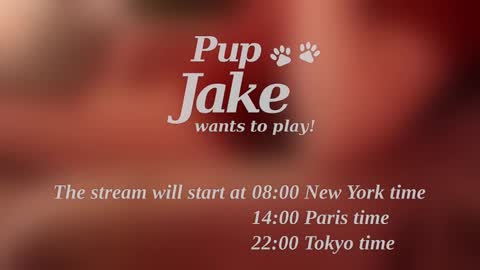 Snapshot of pup_jake chatting on 12/25/24, 12:05 Pup Jake wants to play online show from 12/25/24, 12:05