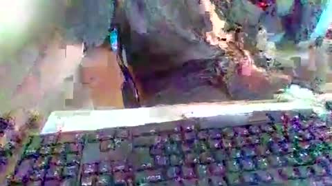 pup_y online show from 09/20/25, 03:02