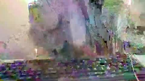 pup_y online show from 12/20/25, 08:16