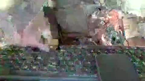 pup_y online show from 01/12/26, 01:16