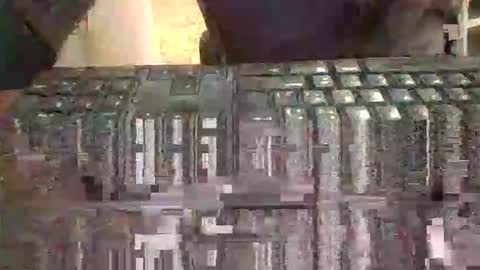 pup_y online show from 02/02/26, 08:35