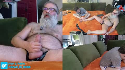 Snapshot of pupnpapa chatting on 05/23/26, 01:44 Pup And Papa bear online show from 05/23/26, 01:44