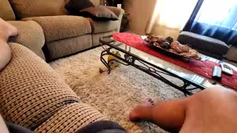 Snapshot of purdyguy7777 chatting on 03/19/26, 07:40 purdyguy7777 online show from 03/19/26, 07:40