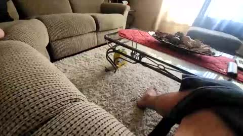 Snapshot of purdyguy7777 chatting on 03/20/26, 07:52 purdyguy7777 online show from 03/20/26, 07:52