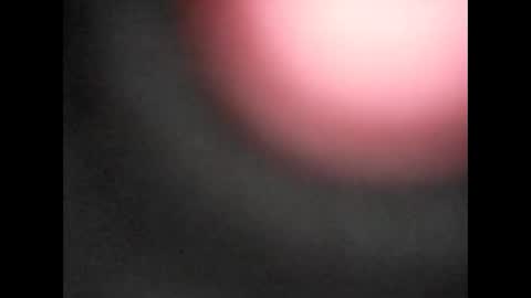 Bart online show from 01/11/26, 12:32