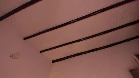 Snapshot of purple_opal chatting on 02/24/25, 10:14 Vero online from Tuesday to Sunday online show from 02/24/25, 10:14